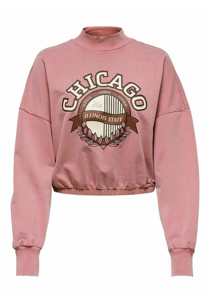 JDY HIGH NECK - Sweatshirt - Mesa Rose 3 JDY HIGH NECK - Sweatshirt - Mesa Rose