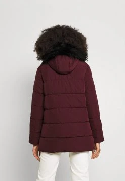 JDYDINA PADDED PARKA - Veste D'hiver - Windsor Wine 10 JDYDINA PADDED PARKA - Veste D'hiver - Windsor Wine -Promos JDY Boutique 874d5118367c49f78c46fbfde4cb64e3