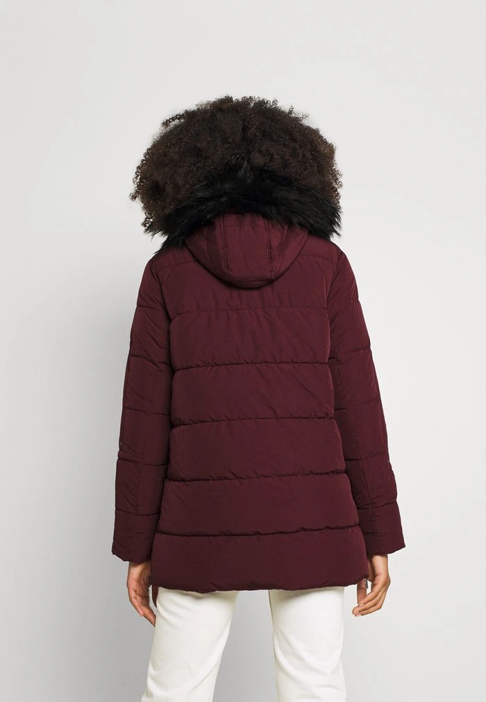 JDYDINA PADDED PARKA - Veste D'hiver - Windsor Wine 5 JDYDINA PADDED PARKA - Veste D'hiver - Windsor Wine – Image 3