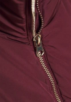 JDYNEWERICA SHORT PADDED JACKET - Veste D'hiver - Windsor Wine -Promos JDY Boutique c93a86b026b2402fa31f037fe31e7a8d