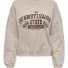 JDY HIGH NECK - Sweatshirt - Chateau Gray -Promos JDY Boutique f80e82af8eef44aebe8de4304b65c6b1