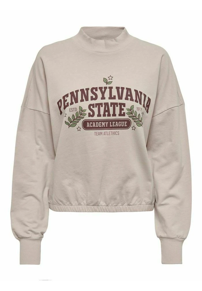 JDY HIGH NECK - Sweatshirt - Chateau Gray 3 JDY HIGH NECK - Sweatshirt - Chateau Gray